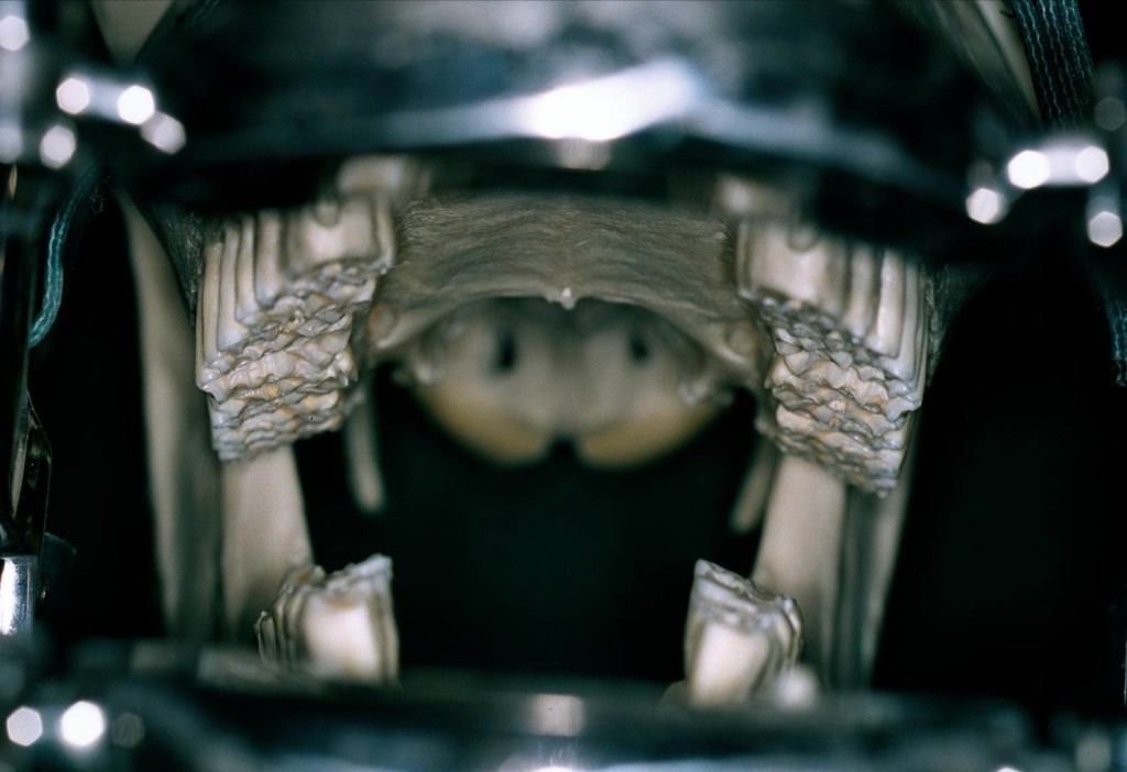 Pferdeklinik + Equinare by Kai Kreling Zähne